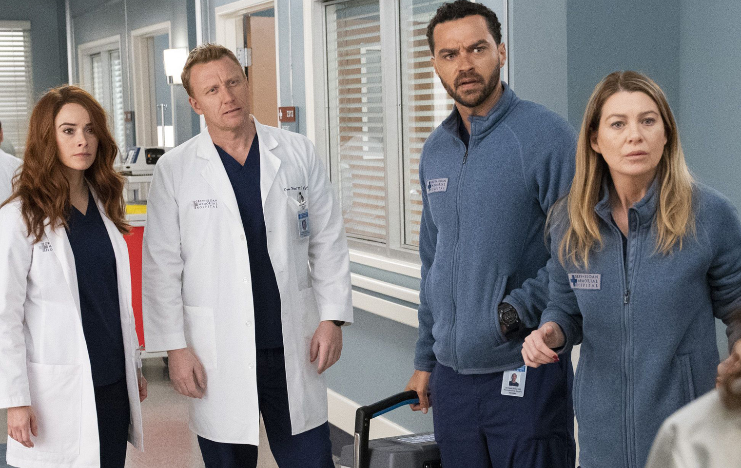 Greys Anatomy Staffel 16