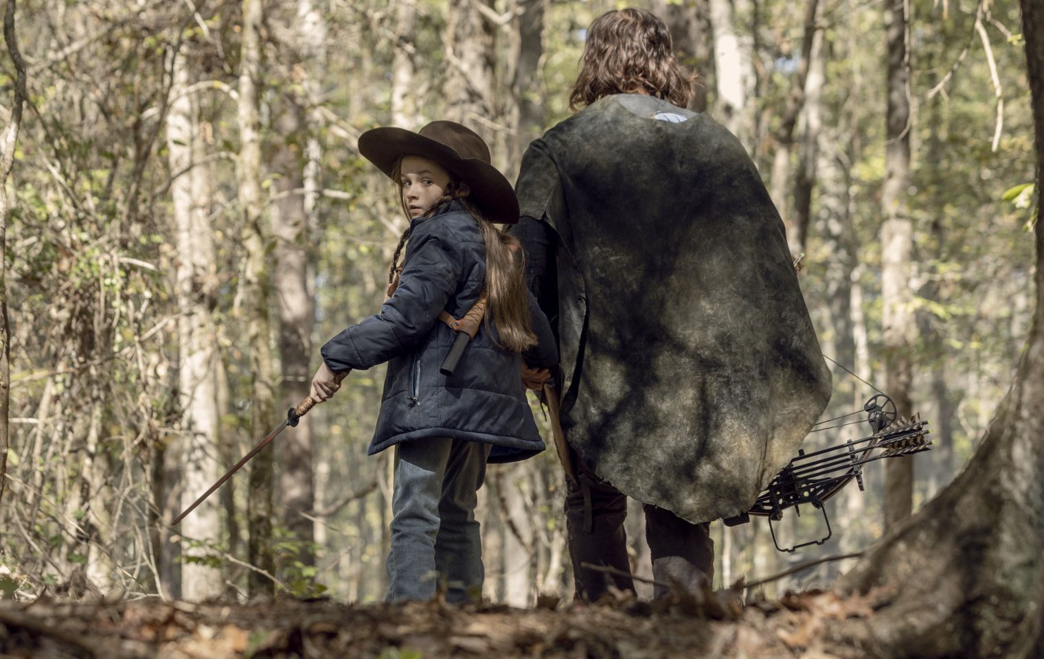 Walking Dead Neue Staffel