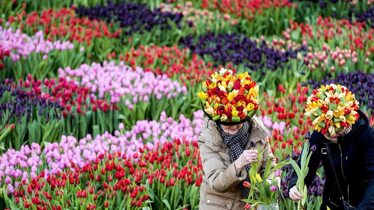 Niederlande Urlaub Corona