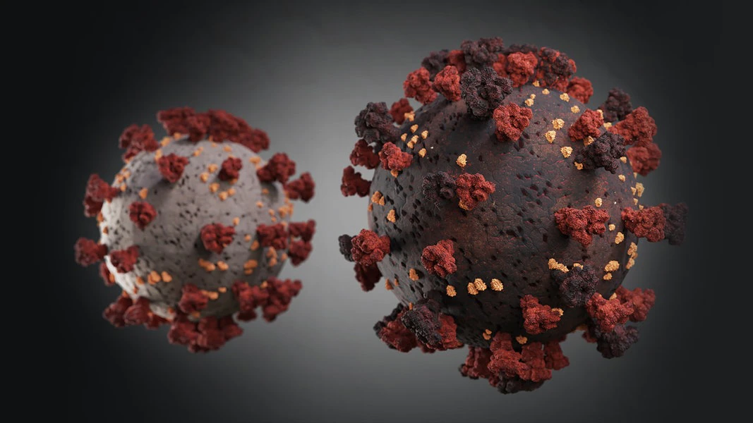 Corona Virus Mv