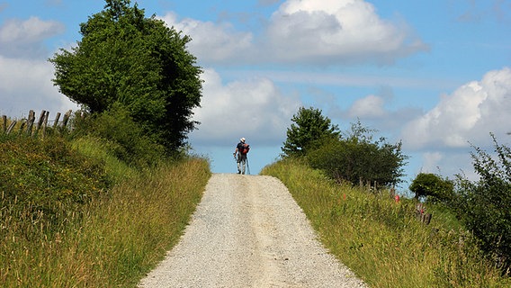 Wandern Im Solling