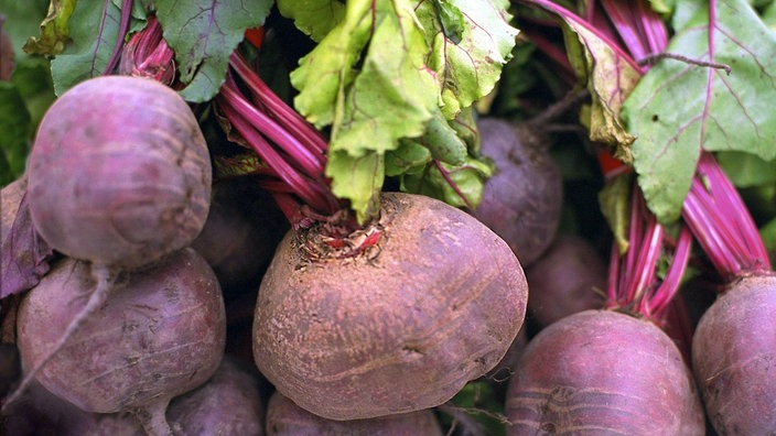Wdr Gote Rezept