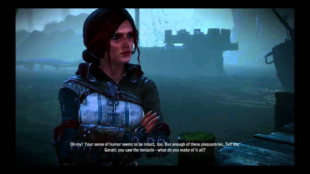 The Witcher Cheats