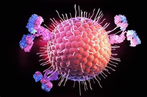 Herpes Virus
